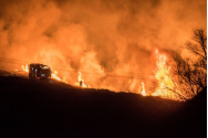 Incendiu provocat de un copil în vârstă de opt ani, în Botoșani / Două adăposturi de animale au luat foc