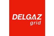 Delgaz Grid S.A. organizează în data de 5 mai 2022 licitaţie publică pentru vânzarea imobilelor din Vaslui si Iasi