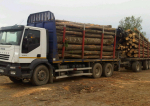 Jumătate dintre transporturile de lemn efectuate în județul Neamț, ilegale!