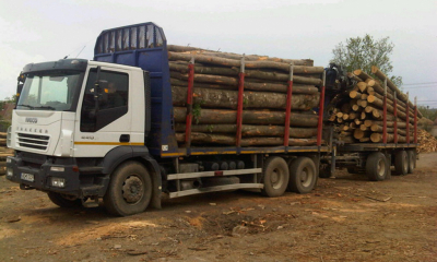 Παράνομη είναι η μισή μεταφορά ξυλείας στην επαρχία Neamț!