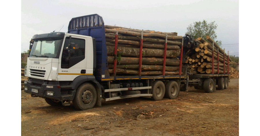 lemn transport