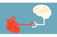 Cum ne poate ajuta creierul inimii