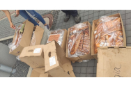 Român depistat în Germania cu 100 kg de fripturi și un pui de Husky