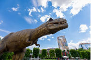 GALERIE FOTO: Dinozaurii T-Rex, Mamut, Velociraptor și alte 23 de exemplare animatronice în mărime naturală pot fi vizitate la Palas