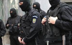 Percheziții la prima oră în județul Prahova: Rețea de hoți de lemn, săltată de polițiști