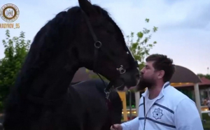 Cum arată calul primit de Ramzan Kadîrov și cine i l-a dăruit