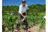 Agricultura, la mâna străbunicilor - O mie de fermieri din Regiunea de Nord-Est sunt trecuţi de 90 de ani