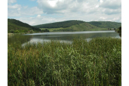 Bărbat mort în lacul Țara Mare, găsit de scafandri după o zi