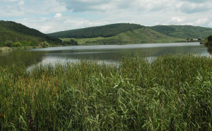 Bărbat mort în lacul Țara Mare, găsit de scafandri după o zi