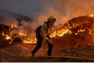 Un incendiu a mistuit, în câteva ore, 200 de hectare de culturi