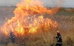 Incendiile au distrus peste 26 de hectare de teren în Vrancea