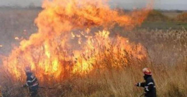 Incendiile au distrus peste 26 de hectare de teren în Vrancea