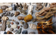 80 de artefacte din Egipt, vechi de mii de ani, au fost descoperite pe aeroportul Otopeni. Vestigiile se aflau în bagajele unor libanezi