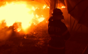 Peste 75 de hectare de vegetaíe au fost distruse de un incendiu la Bacău