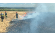 Peste 75 de hectare de vegetație au fost distruse de un incendiu la Bacău