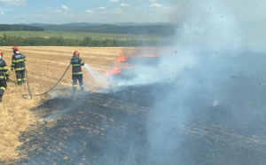 Peste 75 de hectare de vegetație au fost distruse de un incendiu la Bacău