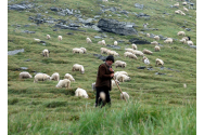 Condamnat pentru tentativă de omor, un cioban a invocat epilepsia ca să iasă din puşcărie