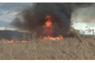 Au tras cu tunul și au declanșat un incendiu uriaș de vegetație: Precizările MApN după incidentul de la Poligonul Babadag