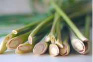 Secretele uleiului esential de lemongrass