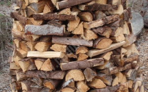 Prețul lemnului de foc a fost plafonat la 500 de lei/metrul cub