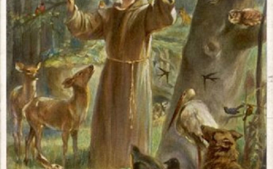 Povestea Sfântului Francisc de Assisi