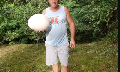 Ciuperci uriașe, în curtea unui bărbat din Dâmbovița. Fiecare exemplare cântărește 3 kilograme