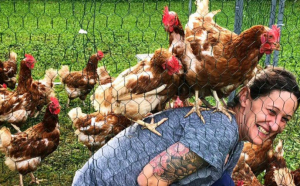 28.000 de găini bătrâne au fost salvate de la moarte, în Franța. Păsările au fost adoptate de o asociație