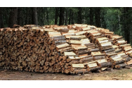 Guvernul a plafonat preţul lemnului de foc la 400 de lei pe metru cub