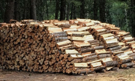 Guvernul a plafonat preţul lemnului de foc la 400 de lei pe metru cub