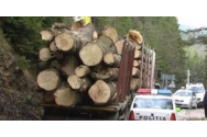 Doi activiști de mediu au găsit un camion plin cu lemne în curtea unui post de poliție