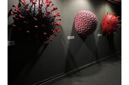 La București se deschide prima expoziție din România dedicată virusurilor