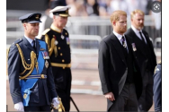  Prinții Andrew și Harry vor fi îndepărtați de la tronul Marii Britanii