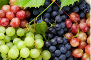 Un sfert din vinurile importate în România sunt din Republica Moldova