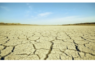 Ministerul Agriculturii şi Dezvoltării Rurale: 'Suprafaţa totală afectată de secetă a depăşit 1,076 milioane hectare'