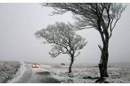 Avertizare de ninsori: în week-end ninge în nordul Moldovei și în Carpați. În restul țării va ploua