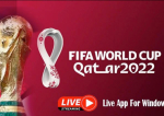 CM 2022 Qatar: Anglia, ținută în șah de SUA / Ultima etapă devine decisivă în Grupa B
