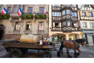 Mașini înlocuite de cai în micile orașe din Franța – Se folosesc pentru serviciile de salubritate și transportul în comun
