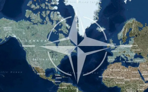 Ce este NATO? Care sunt țările care fac parte din Alianță?