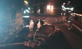 Accident rutier grav la Costești. Un cal a murit, iar 5 persoane au fost rănite, după ce un autoturism și o căruță s-au ciocnit