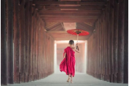 ”Durerea este inevitabilă, suferința este opțională”: Fraze budiste care îți vor schimba viața