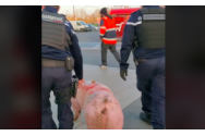 Imagini virale | Jandarmii francezi au confiscat porcul de Crăciun al unor români care se pregăteau să-l sacrifice