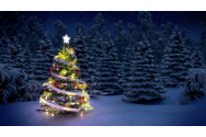  Pomul de Crăciun, simbolul nașterii și Învierii lui Iisus Hristos