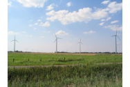 12 turbine eoliene Vestas vor fi montate în Ruginoasa: înălțimea fiecăreia va fi de 207 metri
