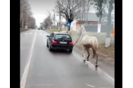 Șofer de BMW, căutat de polițiștii din Botoșani, după ce a legat un cal de mașină și s-a plimbat cu el pe stradă