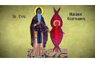 Calendar ortodox, 19 ianuarie. Sfântul Macarie cel Mare
