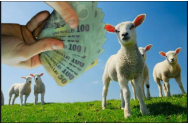 Ce bani vor plăti românii pentru carnea de miel. Se anunță noi prețuri pentru Paștele 2023