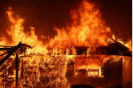 Incendiu la Neamț. Peste 8 hectare au fost afectate