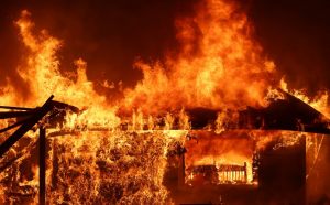Incendiu la Neamț. Peste 8 hectare au fost afectate