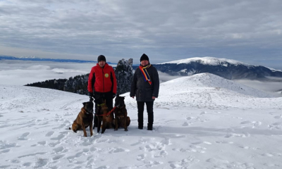  Câinii Erik şi Yan, salvatori în situații de avalanșă, la Suceava