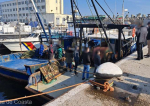 Trei pescadoare braconau în Marea Neagră